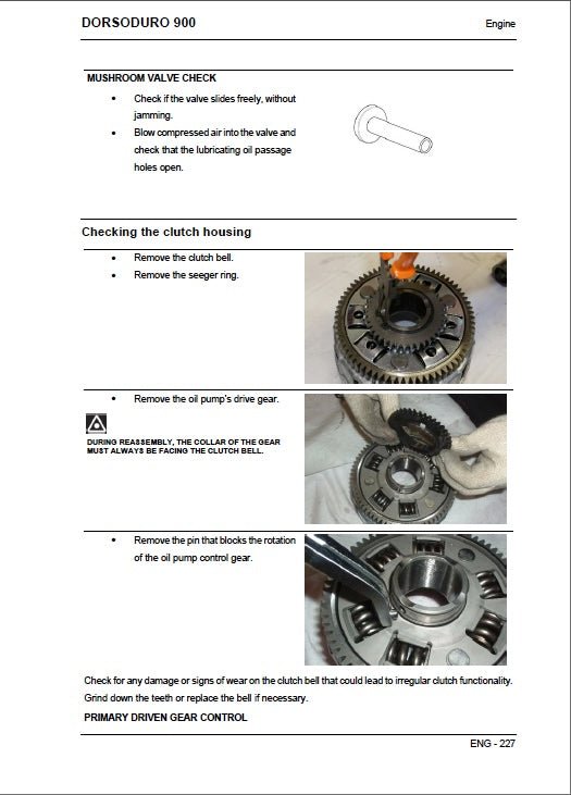 Technical manual page for Dorsoduro 900 engine with step-by-step instructions and diagrams.