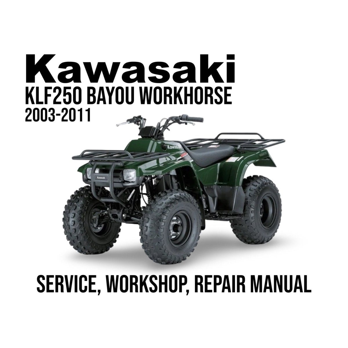 Kawasaki KLF250 Bayou Workhorse ATV with text on a white background
