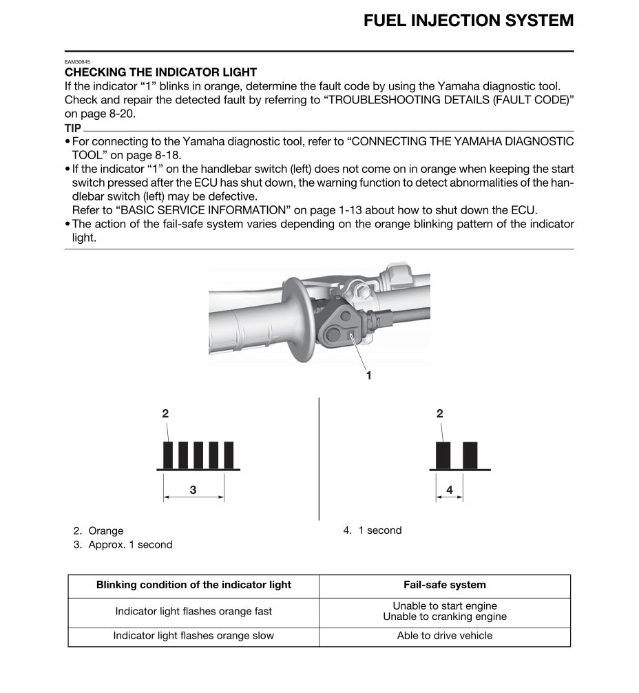Technical diagram and instructions for a fuel injection system with an indicator light on a white background.